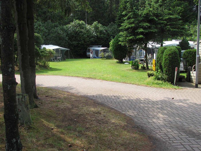 Fietsen en wandelen