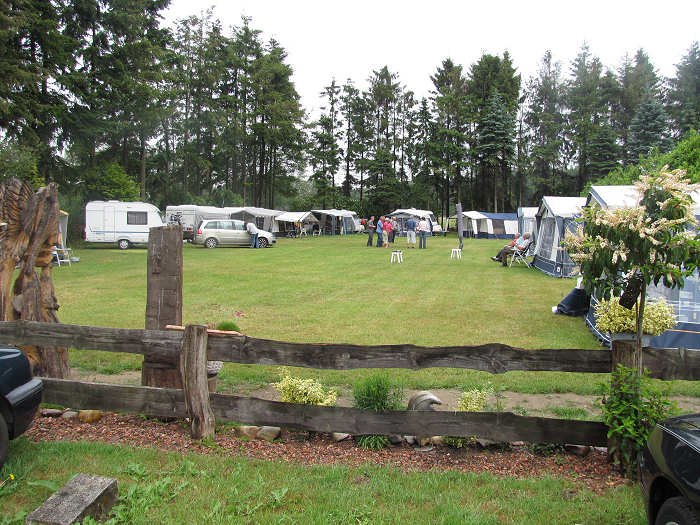 Vanaf het hek: caravans onder de bomen
