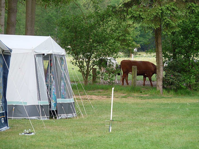 Met de tent aan de bosrand